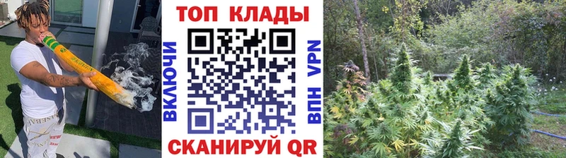 Где найти наркотики Гусь-Хрустальный A PVP МЕФ Гашиш МАРИХУАНА