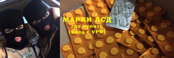 винт Алзамай