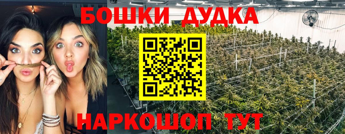 Бошки марихуана индика Гусь-Хрустальный